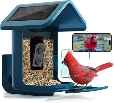 The best Smart bird Feeders