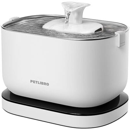 Best Smart Pet Water Fountain In 2025